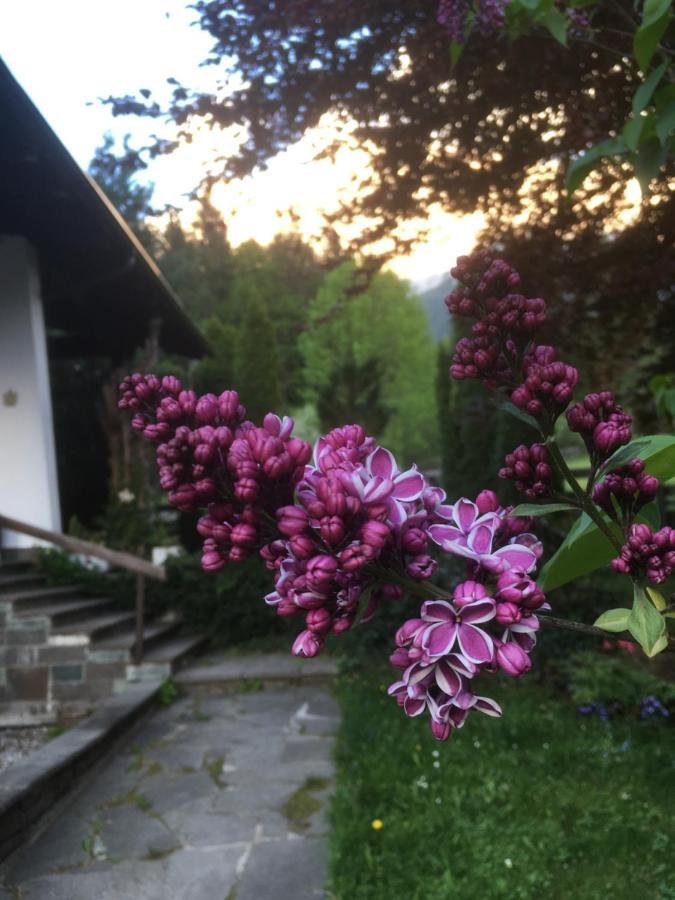 Ferienhaus Wieswald Ehrwald Esterno foto