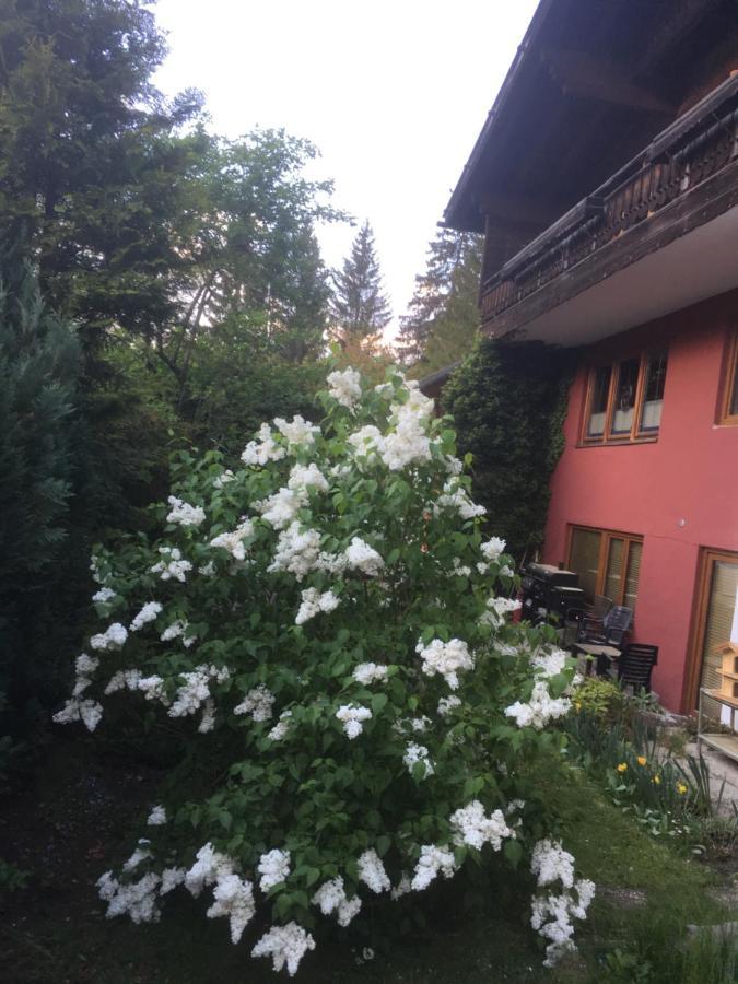 Ferienhaus Wieswald Ehrwald Esterno foto