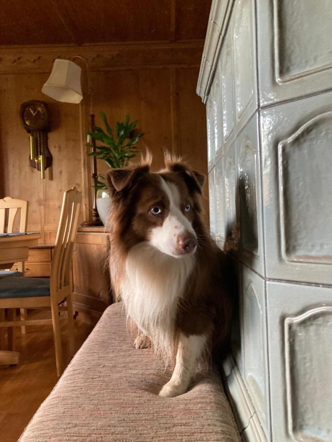 Ferienhaus Wieswald Ehrwald Esterno foto